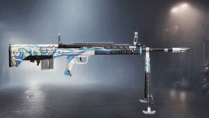 DMR Guns in PUBG/BGMI