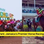Caymanas Park Jamaica’s Premier Horse Racing Destination