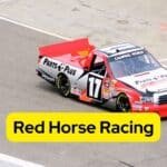 Red Horse Racing (2)