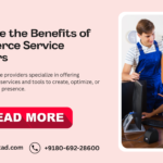 What are the Benefits of eCommerce Service Providers